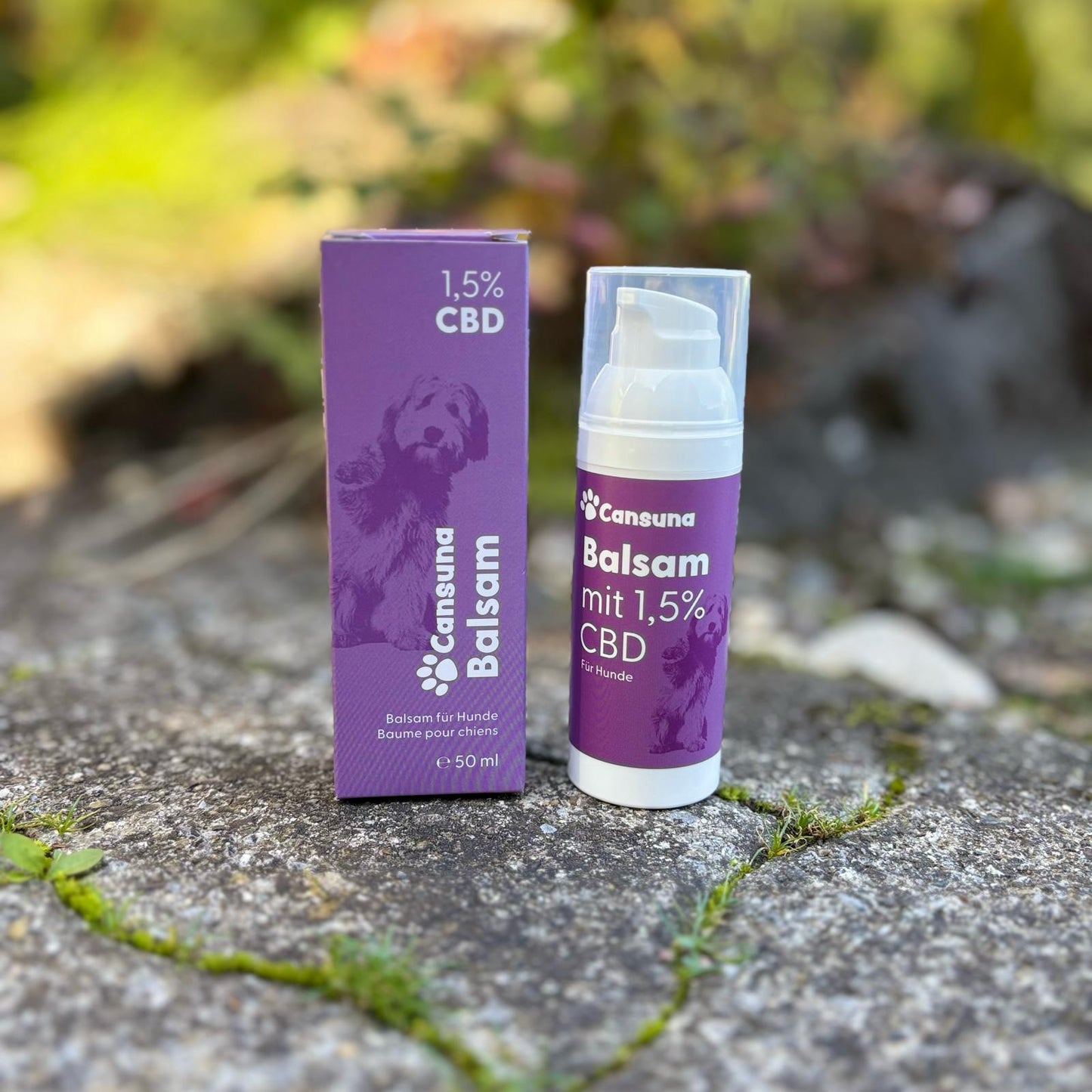 Cansuna Balsam mit CBD