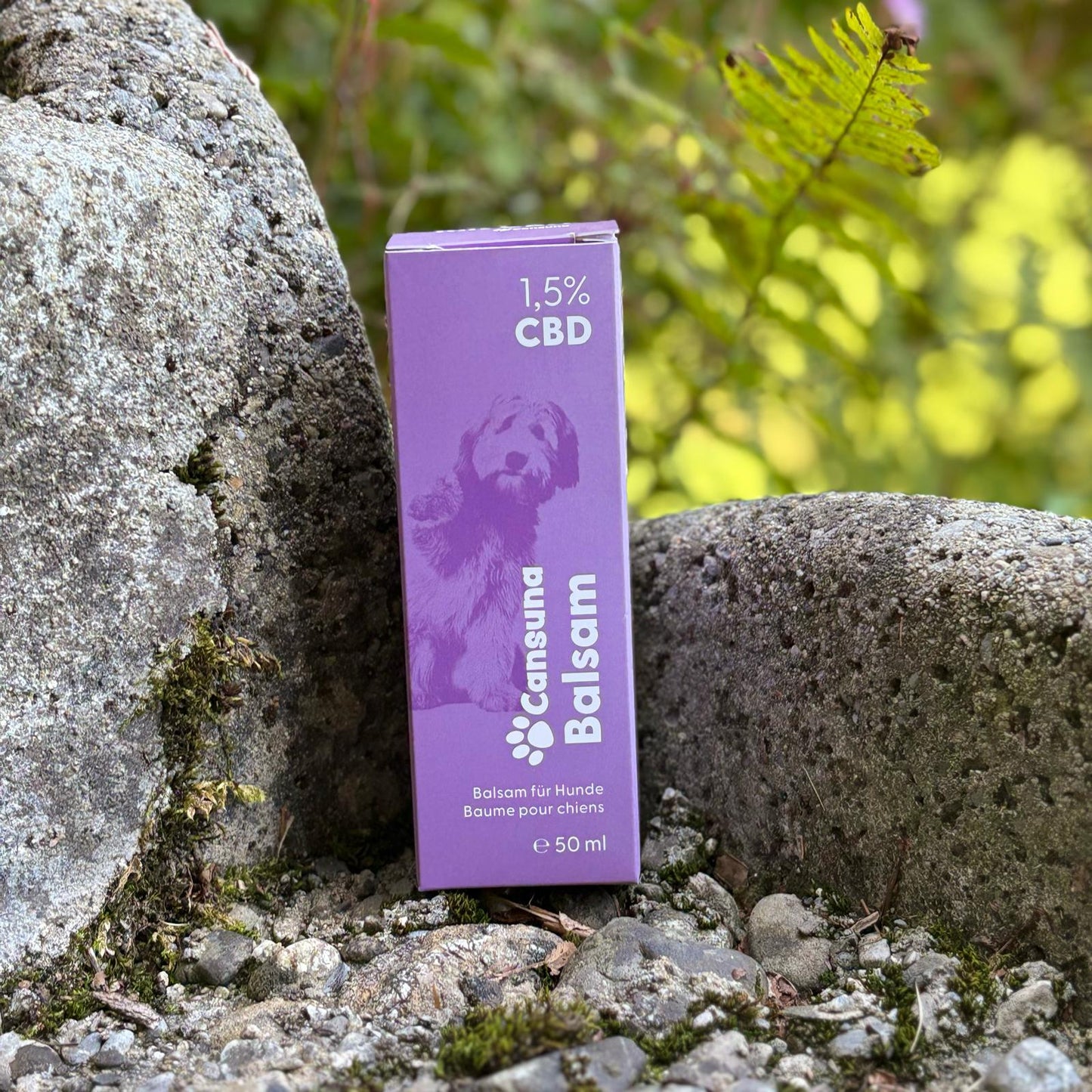 Cansuna Balsam mit CBD