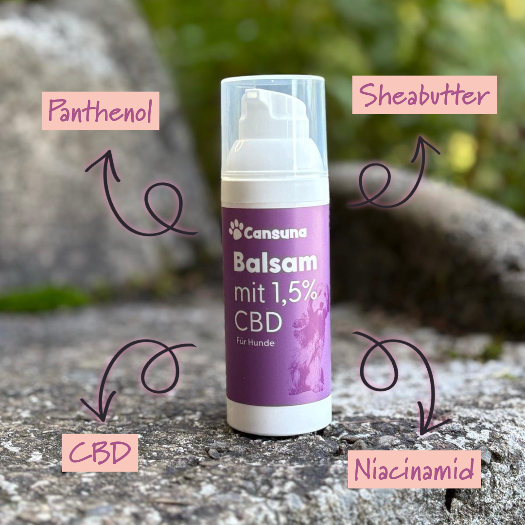 Cansuna Balsam mit CBD