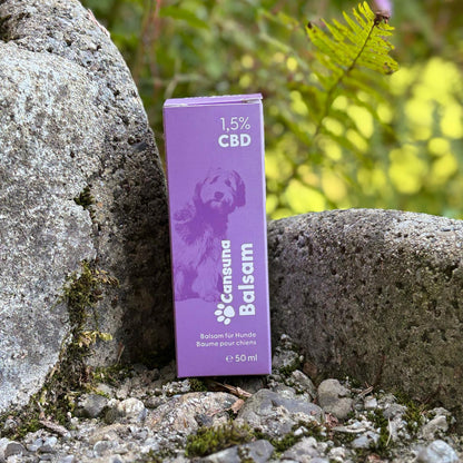 Cansuna Balsam mit CBD