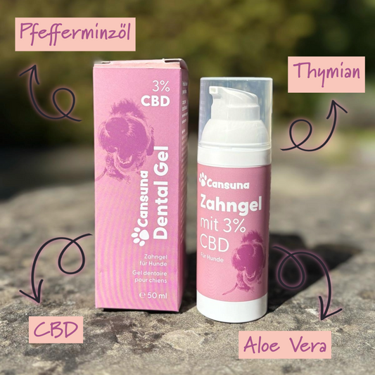 Cansuna Zahngel mit CBD